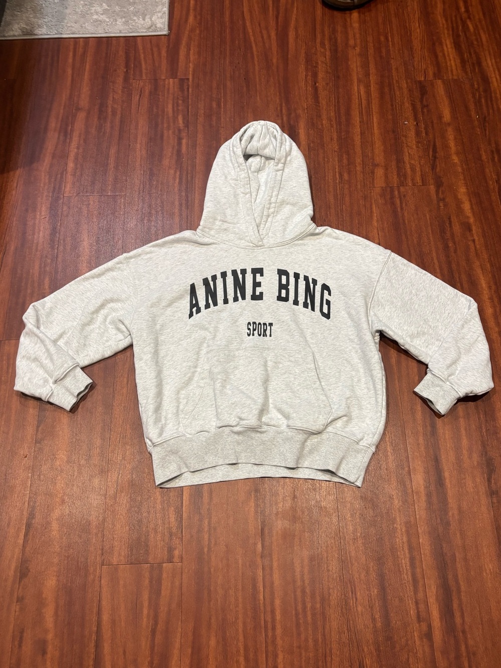 Anine Bing Harvey Hooded Sweatshirt